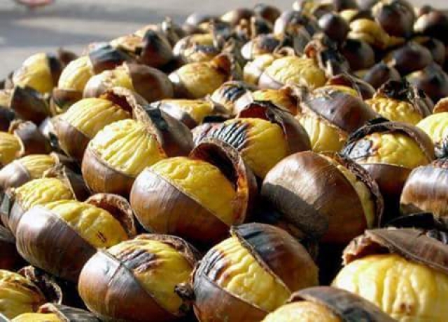 Magusto em Malhadas da Serra